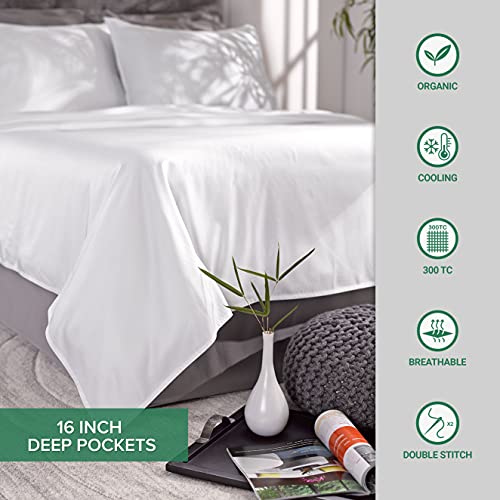 Pure Bamboo PB Sheets