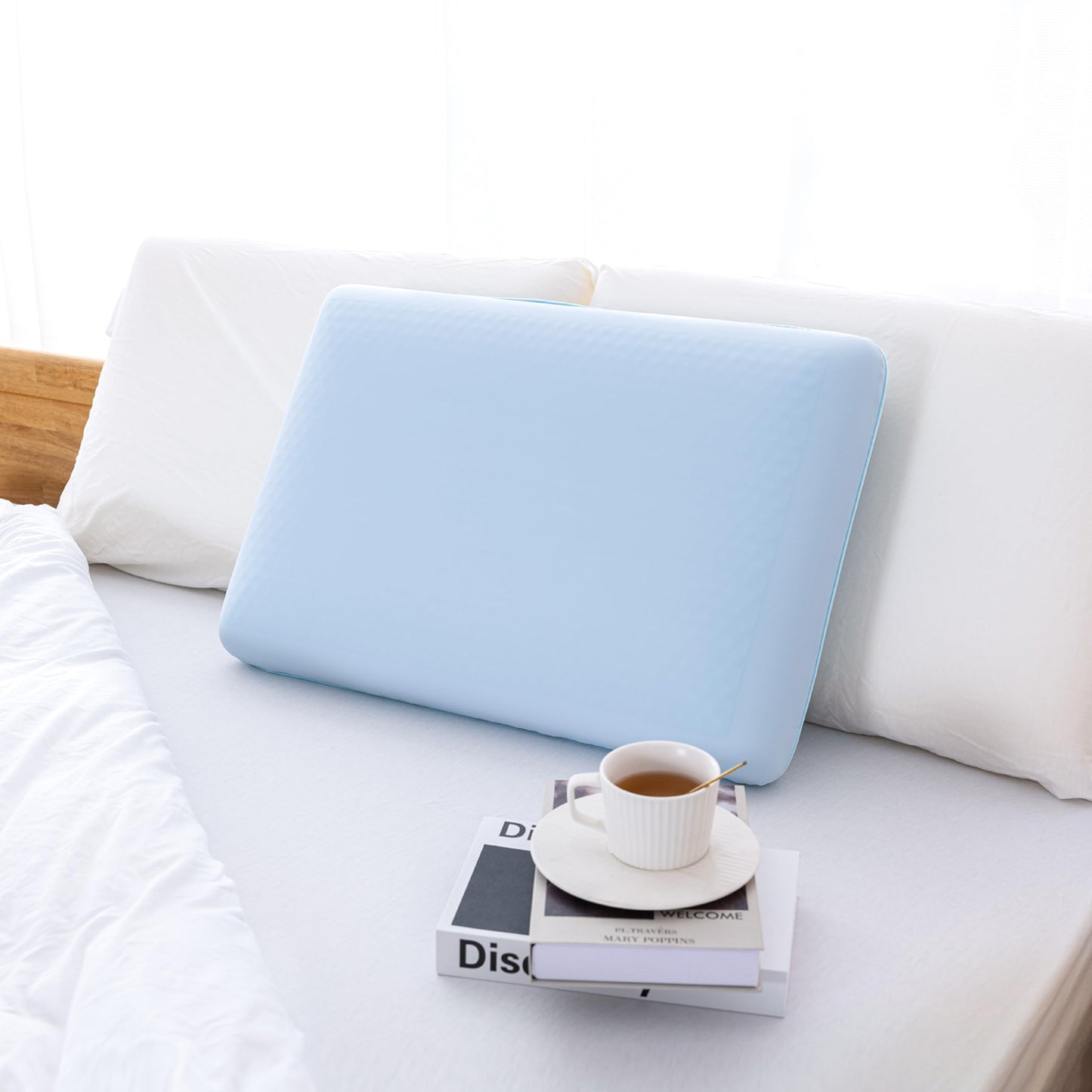 EGOHOME Sleep Memory Foam Pillow